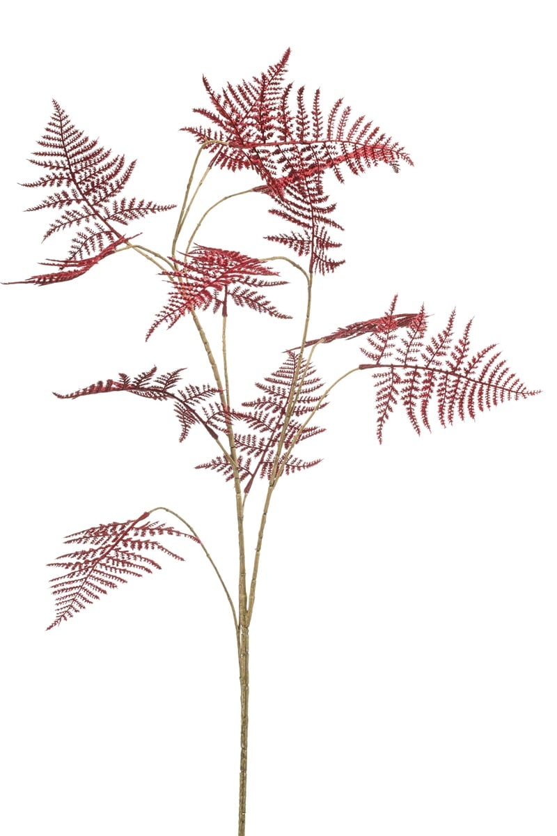 Kunstbloem Asparagus spray burgundy H135