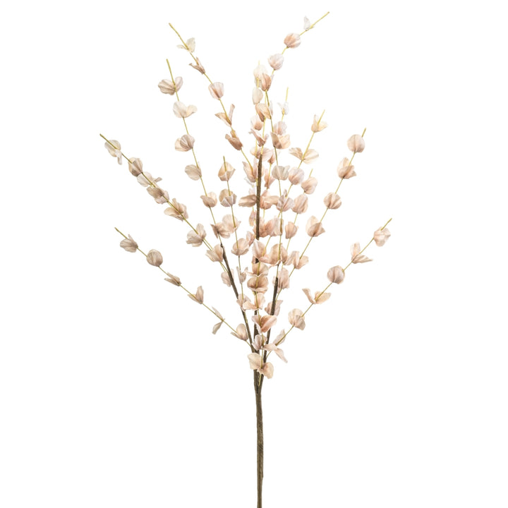 Kunstbloem Lampionplant Physalis spray beige H75