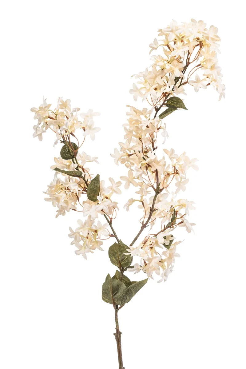 Kunstbloem Jasmijn Jasmine branch creme H115